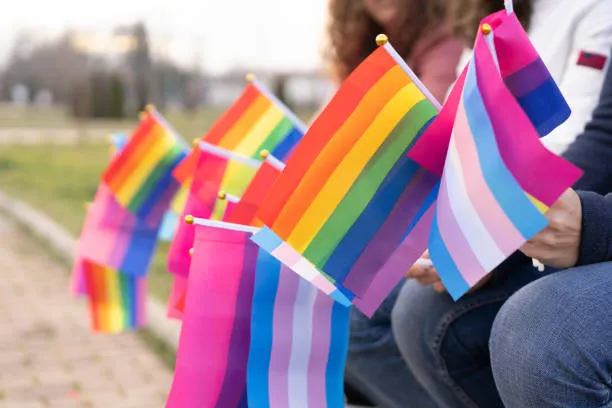 Pride and gender-diversity flags representing inclusive community and chosen family